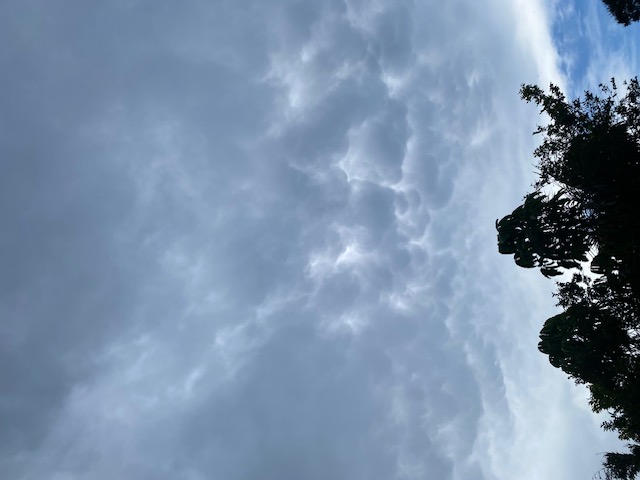 IMG_4022.jpeg