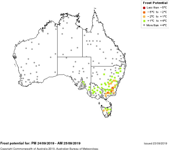 24th sept 2019 frost SE OZ.jpg