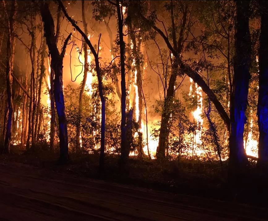 BribieFire4.JPG